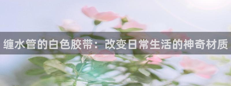 天辰娱乐游客