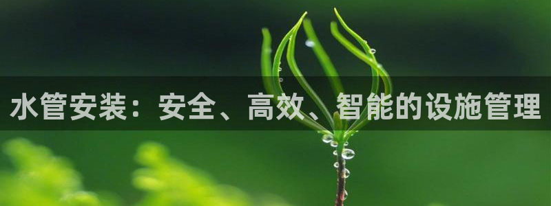天辰娱乐登陆