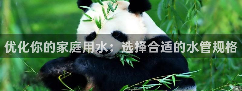 天辰娱乐 注册