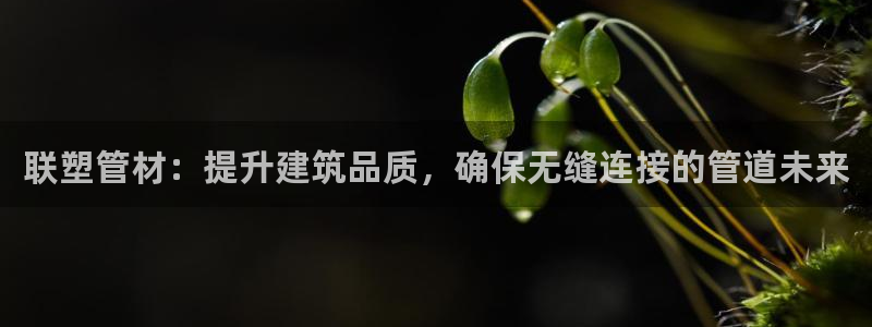 天辰娱乐信誉