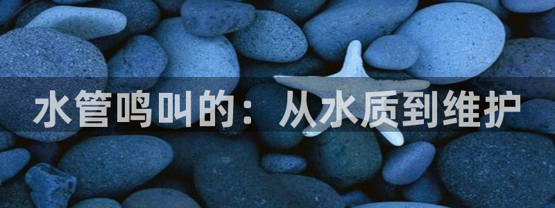 天辰娱乐61116