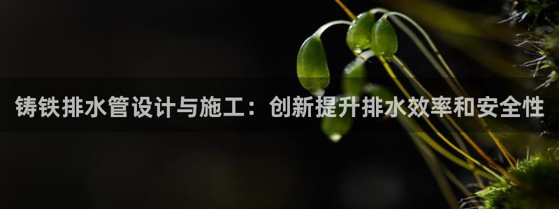 天辰娱乐1966