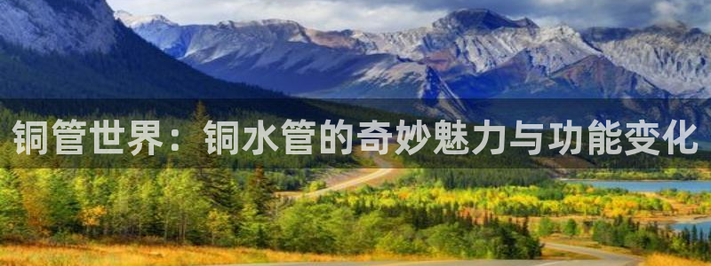 天辰 娱乐 注册