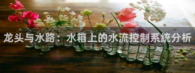 天辰娱乐 主管