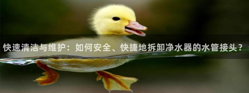 天辰娱乐简介
