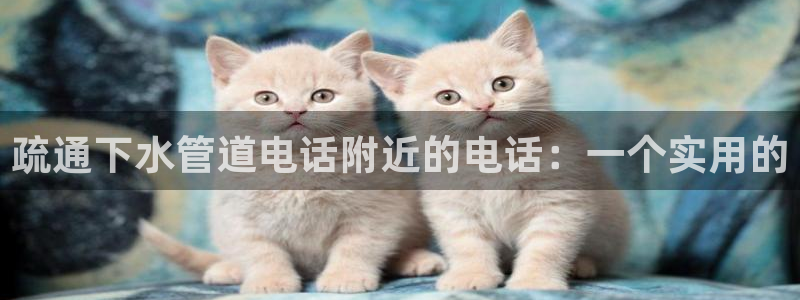 天辰娱乐服务
