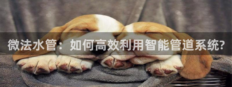 天辰娱乐-q