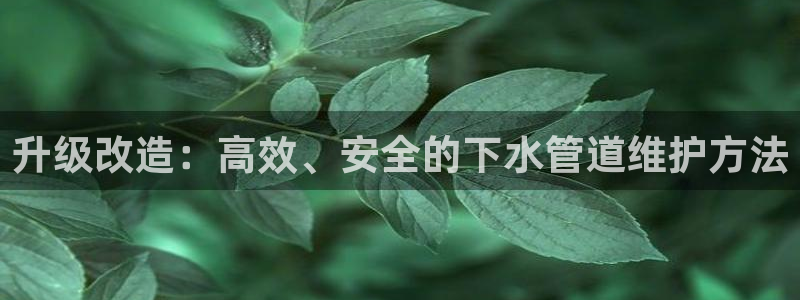 辰天娱乐