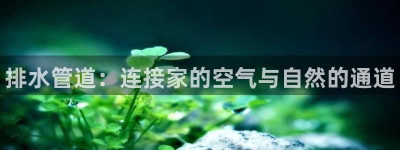 天辰娱乐60447