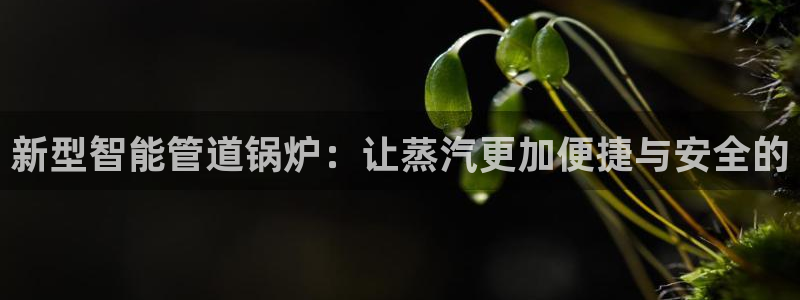 天辰国际娱乐