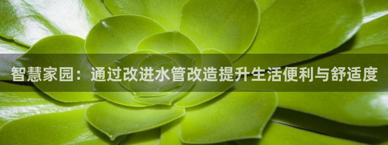 天辰娱乐招商