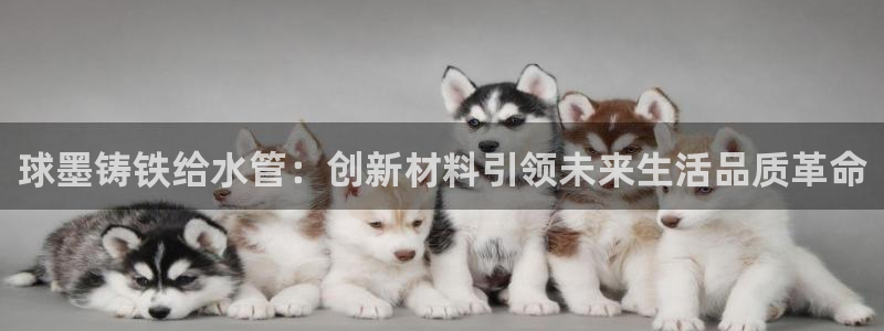 辰天娱乐