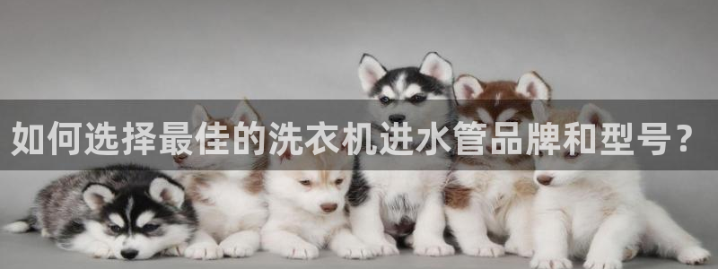 天辰娱乐连接