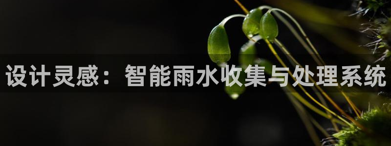天辰娱乐股票