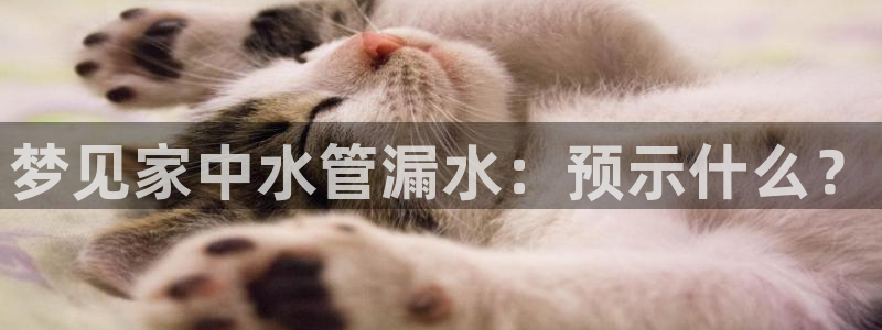 天辰 娱乐 注册