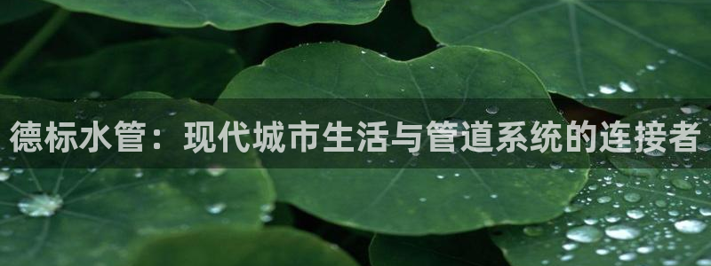 天辰娱乐会所