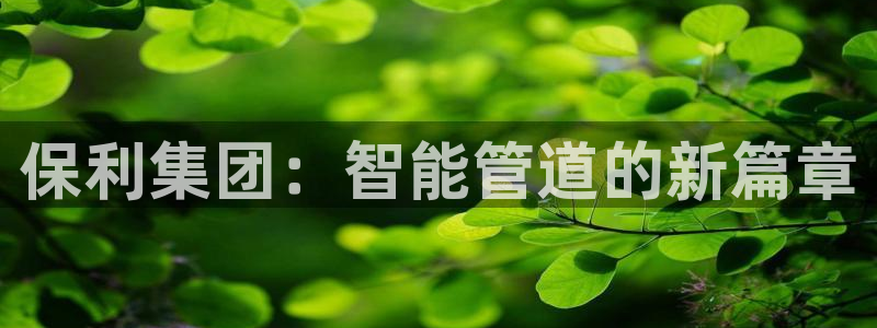 天辰娱乐网