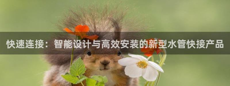 nba天辰娱乐