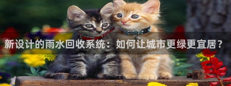 天辰娱乐好吗