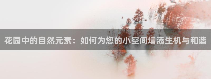 天辰娱乐卡