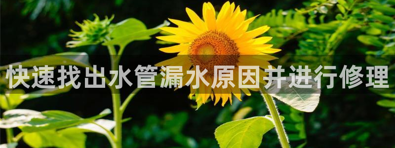 天辰2娱乐