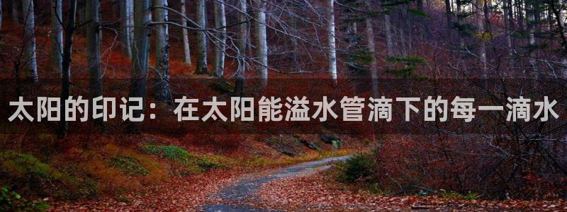 天辰娱乐反水