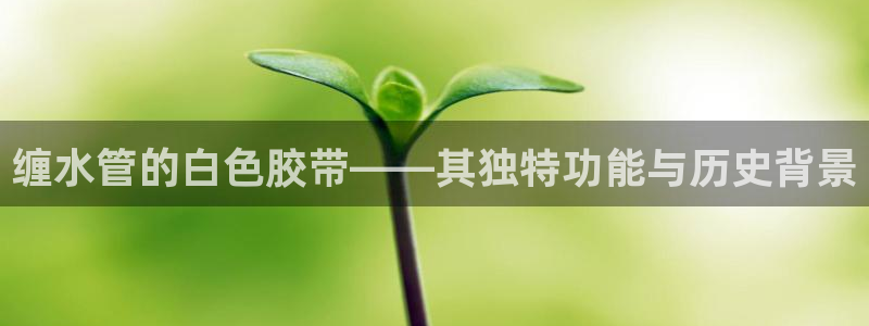天辰辰娱乐代理
