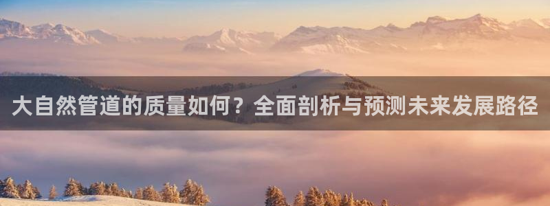 天辰娱乐服务
