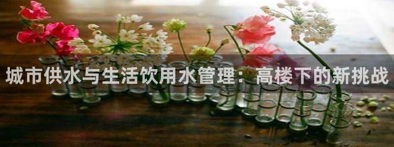 天辰娱乐好吗