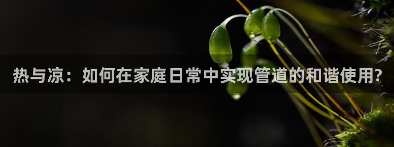 天辰娱乐总管年薪