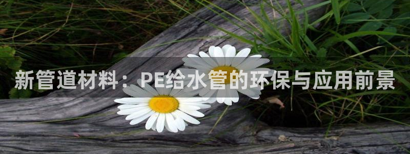 天辰娱乐 主管