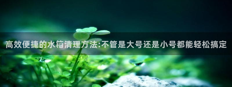 天辰娱乐885544