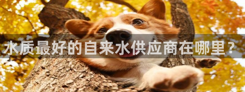 南充天辰娱乐