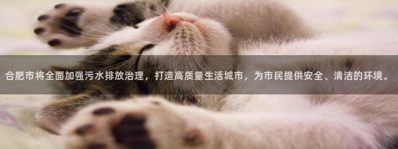 天富娱乐与天辰娱乐