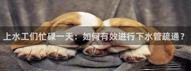 天辰娱乐平台安全吗