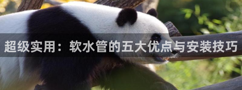 天辰娱乐电话