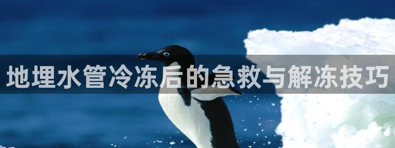 天辰娱乐下载