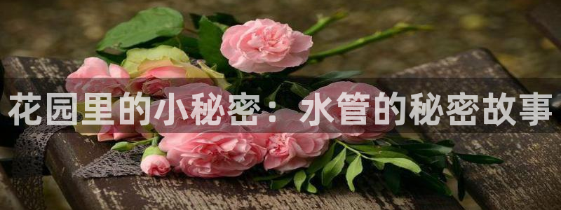 天辰娱乐官方网