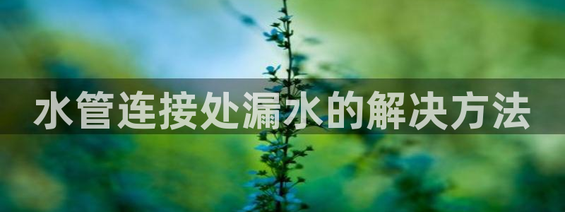 天辰娱乐 18113