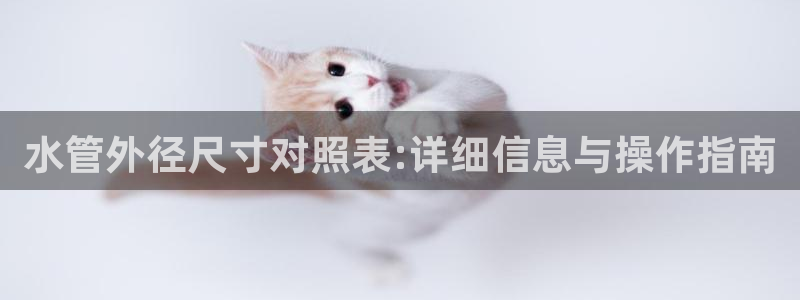 天辰娱乐总管