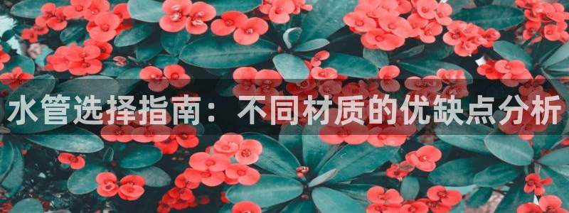天辰娱乐国际