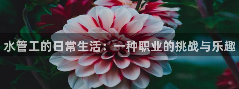天辰娱乐75775