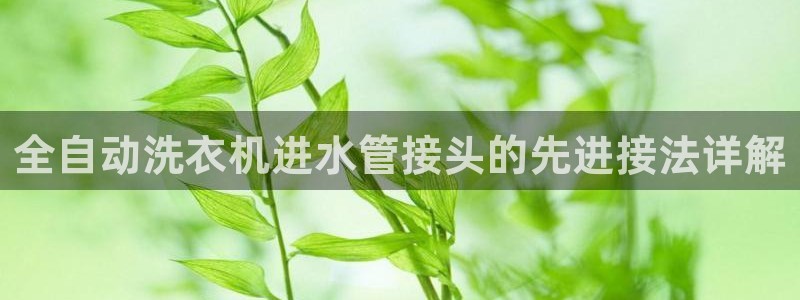 天辰娱乐APP下载