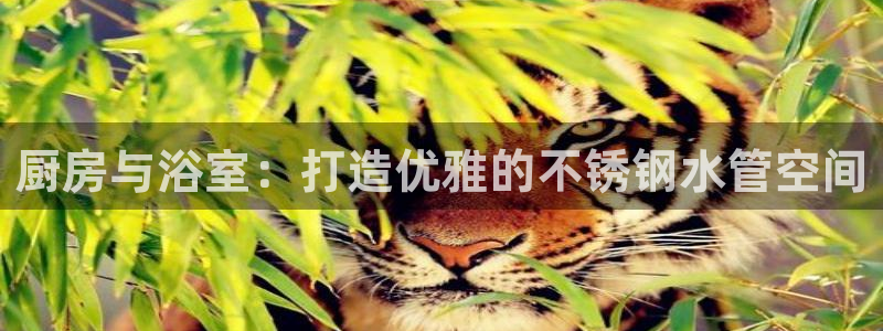 天辰娱乐游戏