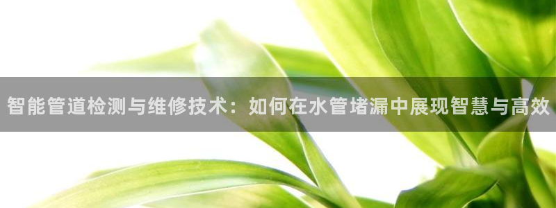 天辰彩票娱乐