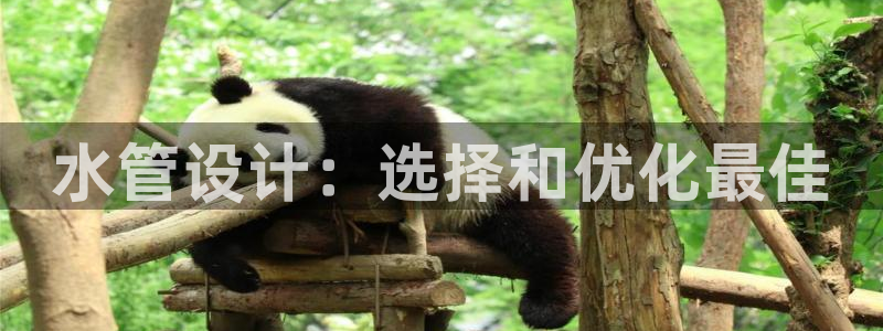 天辰宝宝娱乐