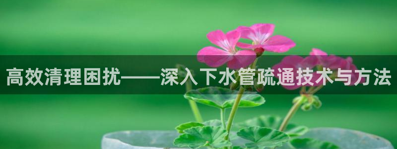 天辰娱乐小妹