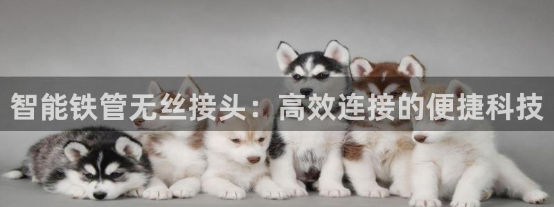 天辰平台娱乐