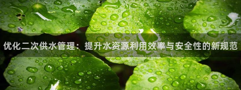 天辰娱乐登陆平台