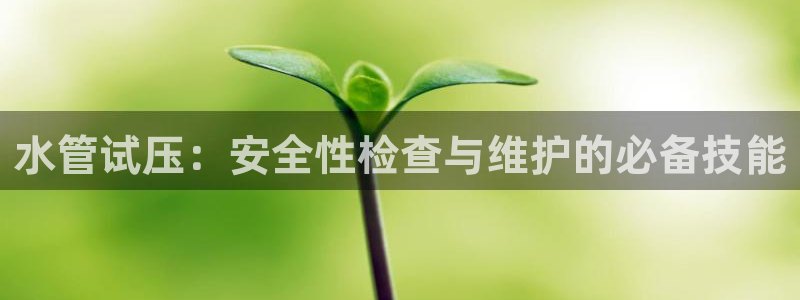 手机上怎么下载天辰娱乐